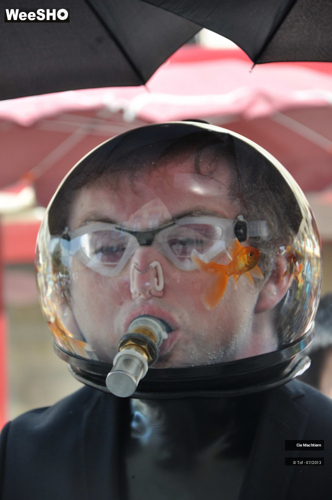 22/39 photos du spectacle Les Aquamens