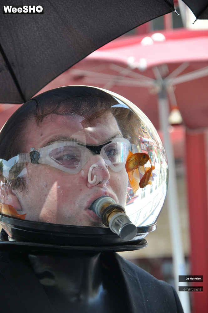 23/39 photos du spectacle Les Aquamens