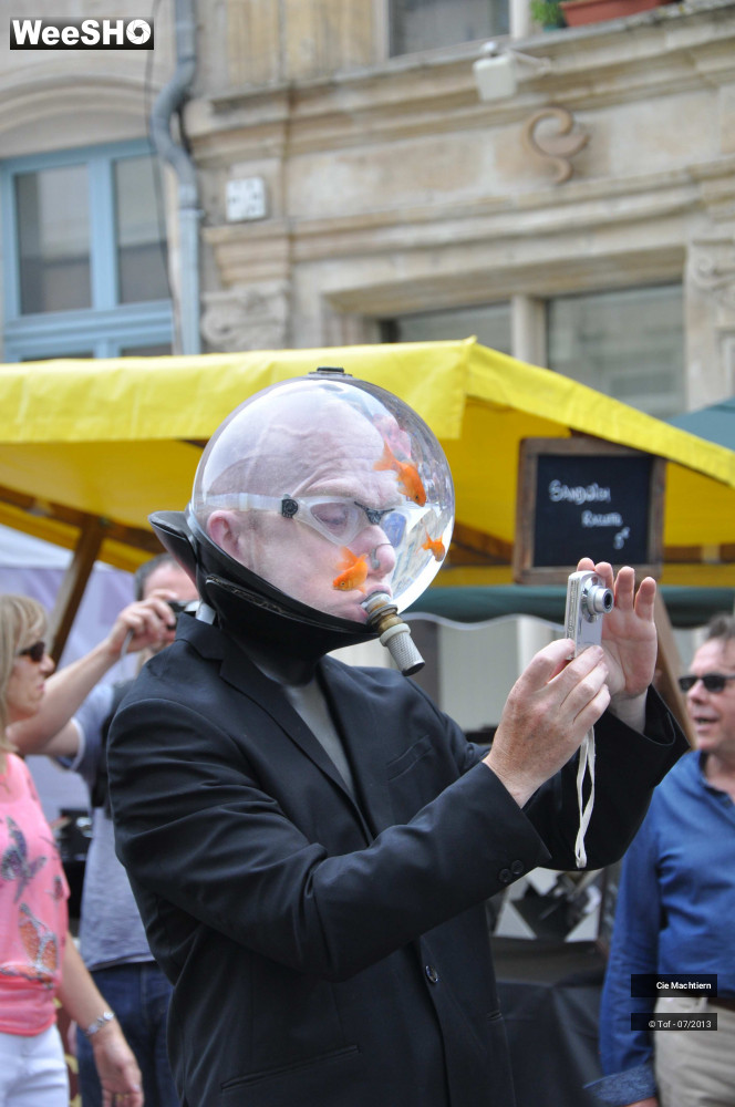 28/39 photos du spectacle Les Aquamens