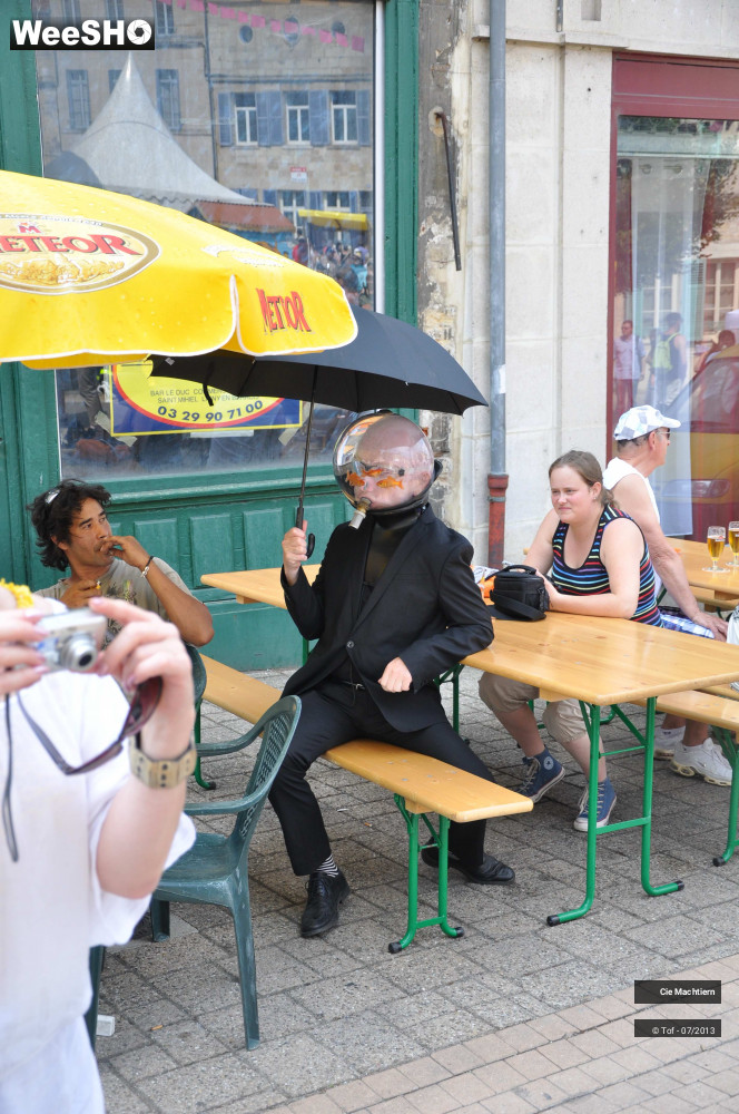 30/39 photos du spectacle Les Aquamens