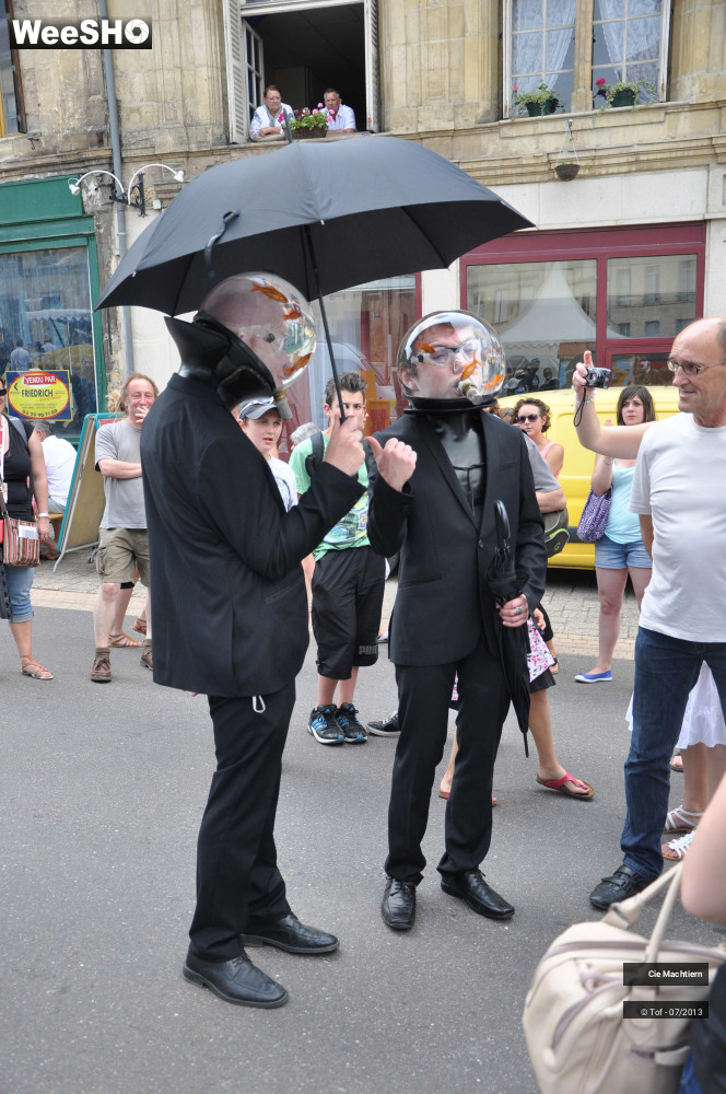 31/39 photos du spectacle Les Aquamens
