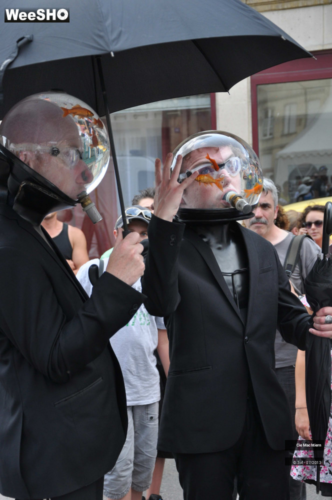 32/39 photos du spectacle Les Aquamens