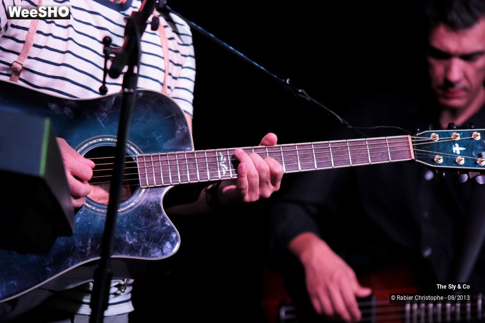 2/50 photos du spectacle The Sly and Co 
