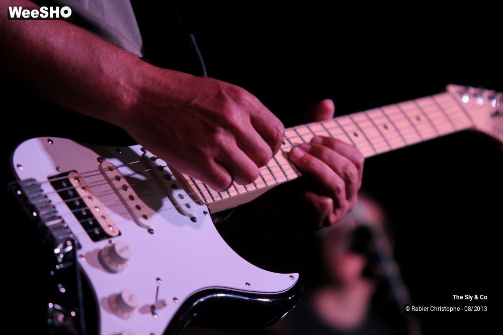 14/50 photos du spectacle The Sly and Co 