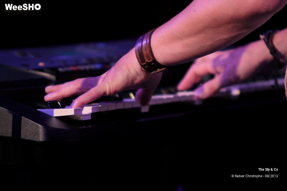 19/50 photos du spectacle The Sly and Co 