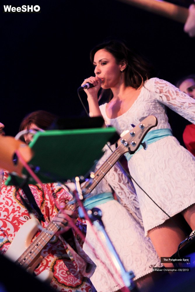 32/43 photos du spectacle The polyphonic spree