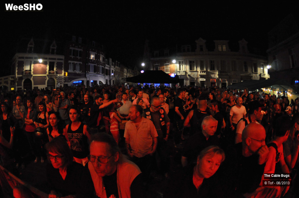 8/50 photos du spectacle The Cable Bugs