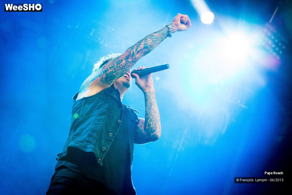 13/17 photos du spectacle Papa Roach