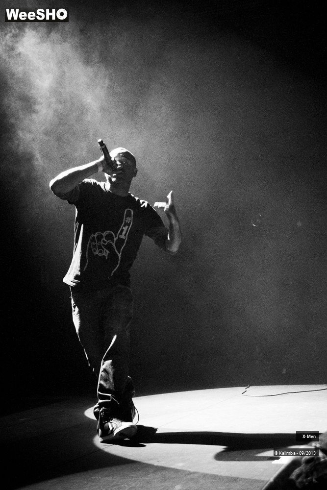 24/30 photos du spectacle X-Men