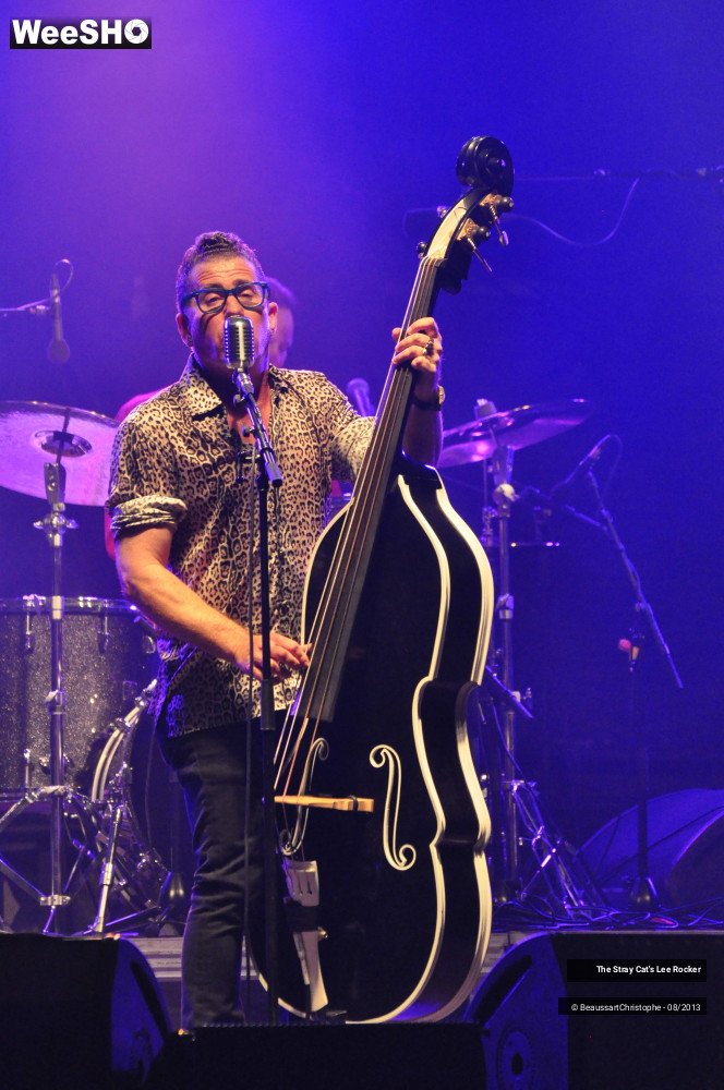 46/49 photos du spectacle The Stray Cat's Lee Rocker
