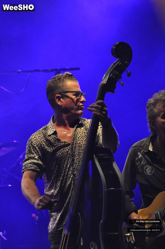 47/49 photos du spectacle The Stray Cat's Lee Rocker