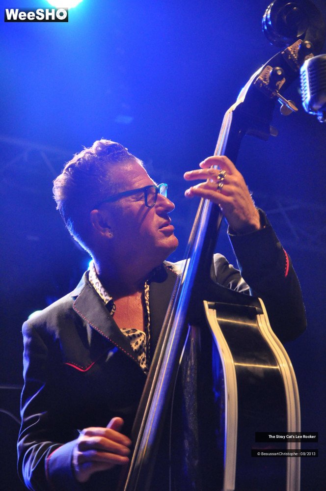 48/49 photos du spectacle The Stray Cat's Lee Rocker