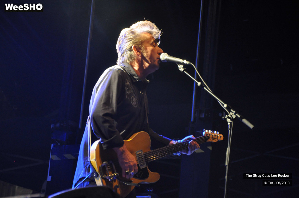 1/49 photos du spectacle The Stray Cat's Lee Rocker