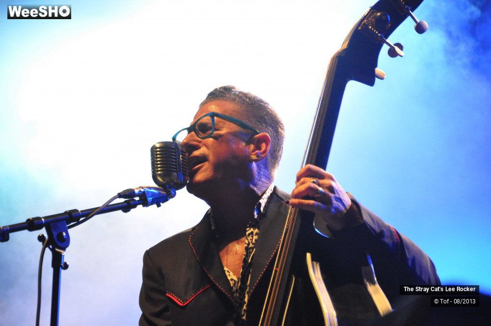 3/49 photos du spectacle The Stray Cat's Lee Rocker