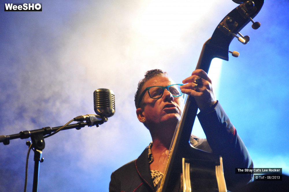 4/49 photos du spectacle The Stray Cat's Lee Rocker