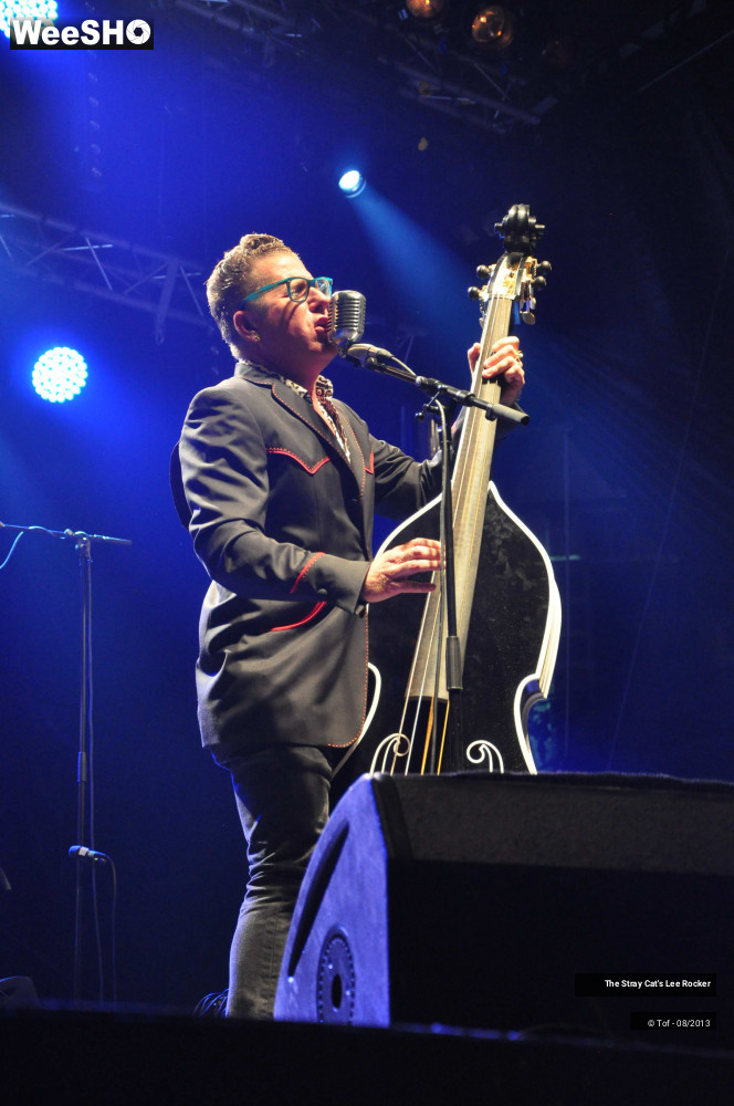 19/49 photos du spectacle The Stray Cat's Lee Rocker