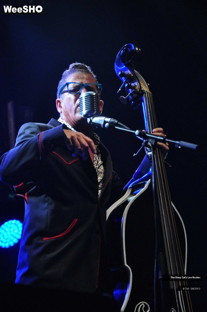 25/49 photos du spectacle The Stray Cat's Lee Rocker