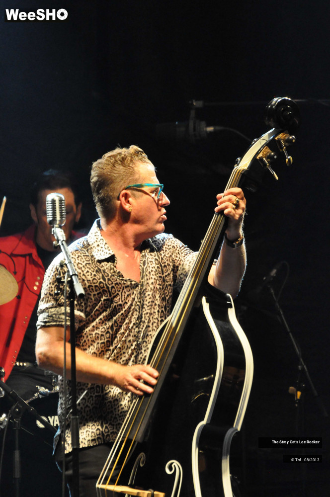 36/49 photos du spectacle The Stray Cat's Lee Rocker