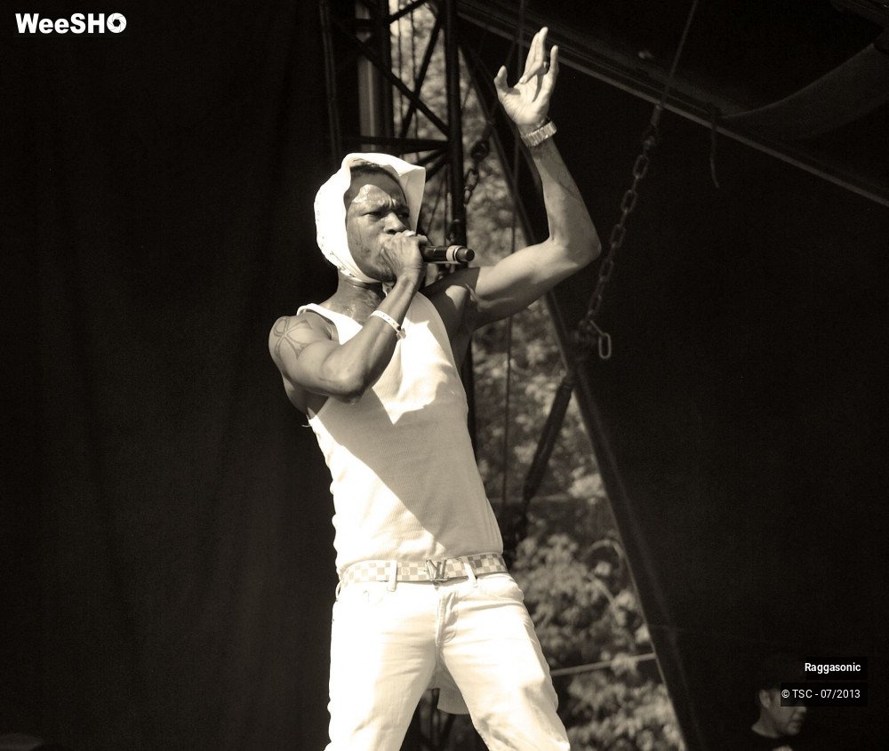 4/50 photos du spectacle Raggasonic
