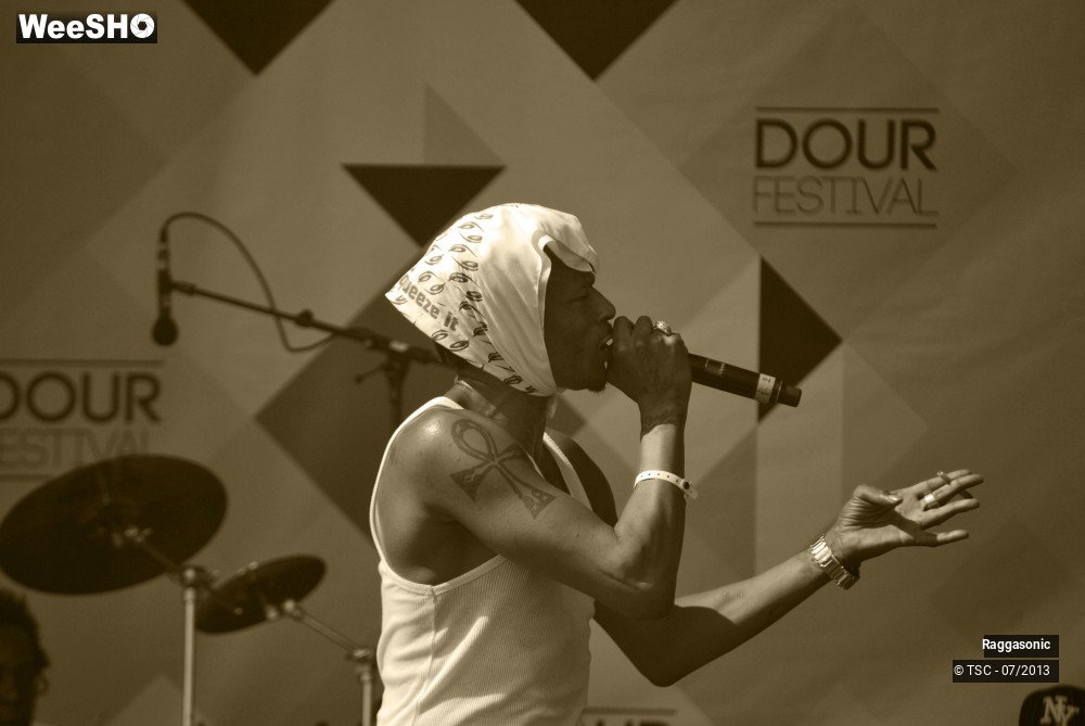 5/50 photos du spectacle Raggasonic