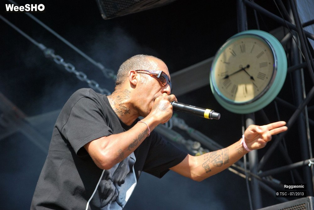 6/50 photos du spectacle Raggasonic