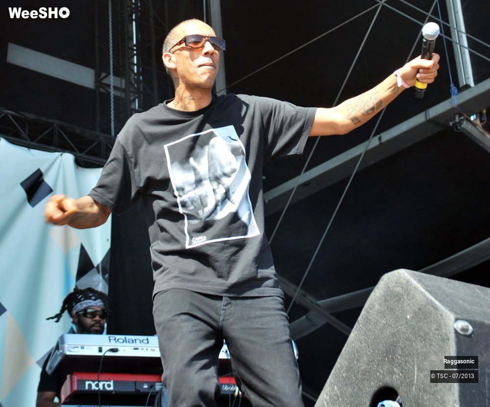 7/50 photos du spectacle Raggasonic