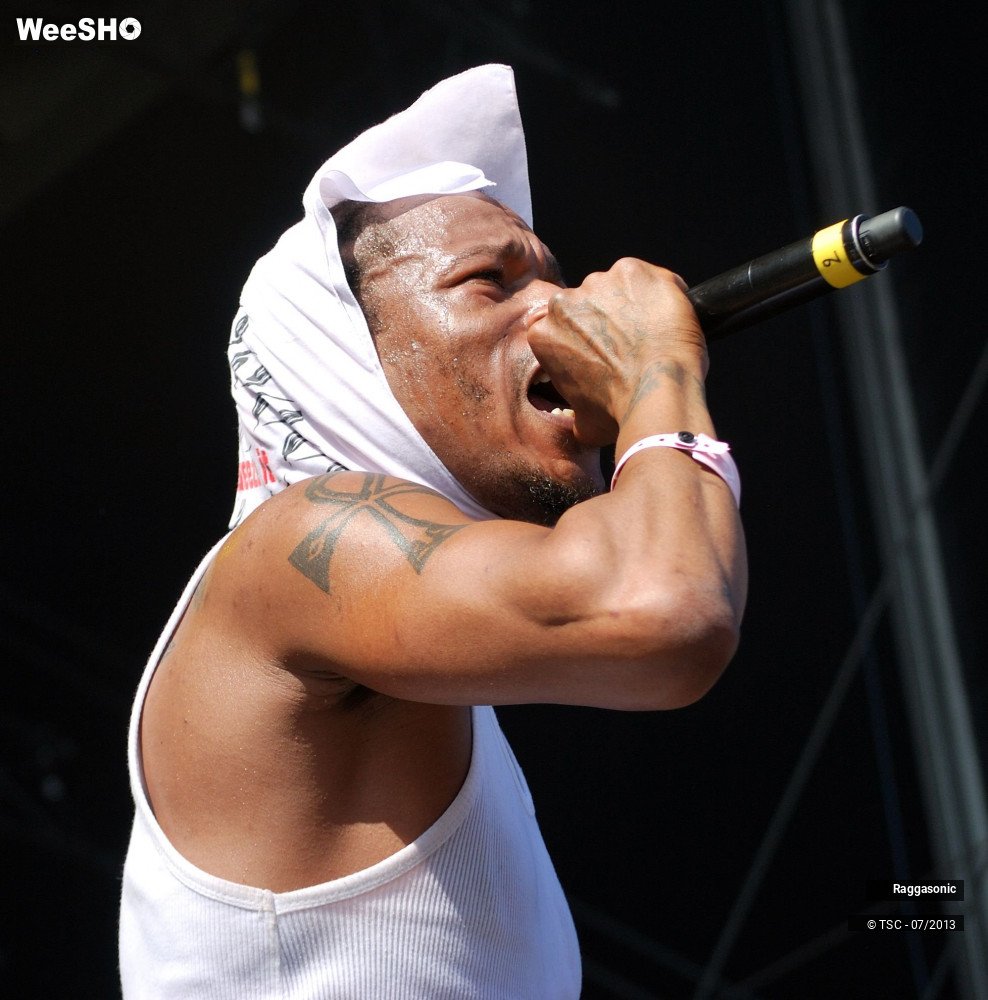 10/50 photos du spectacle Raggasonic