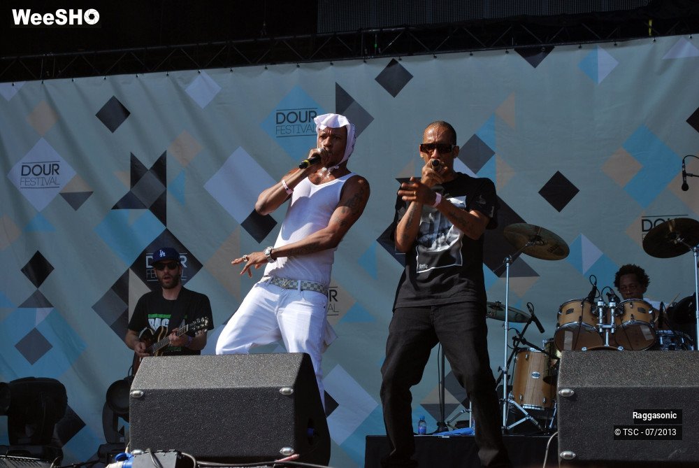 11/50 photos du spectacle Raggasonic