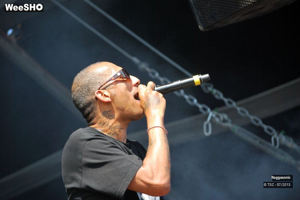 12/50 photos du spectacle Raggasonic