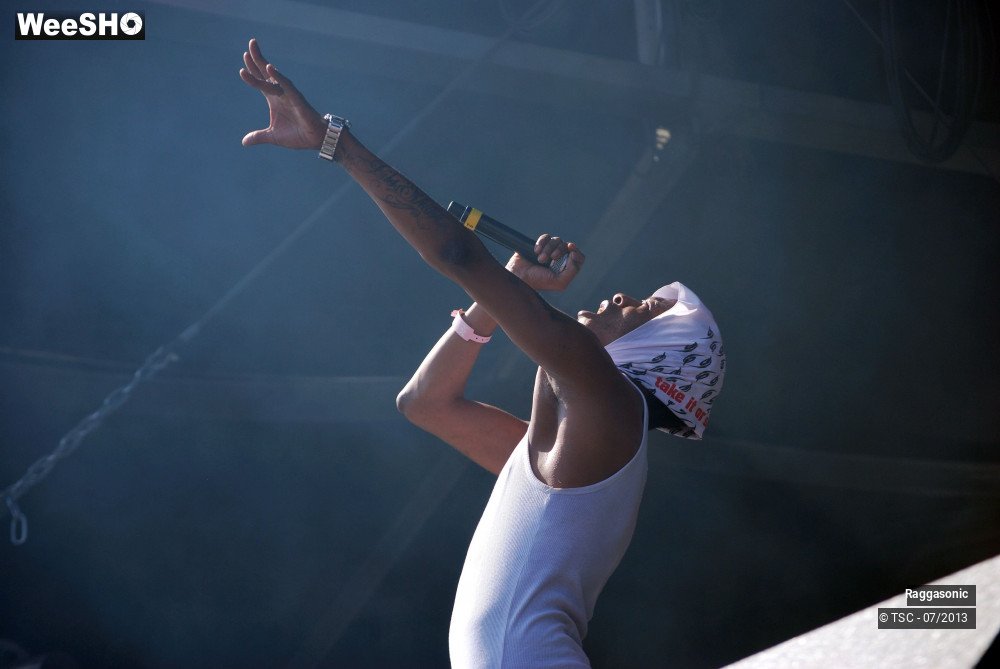 13/50 photos du spectacle Raggasonic