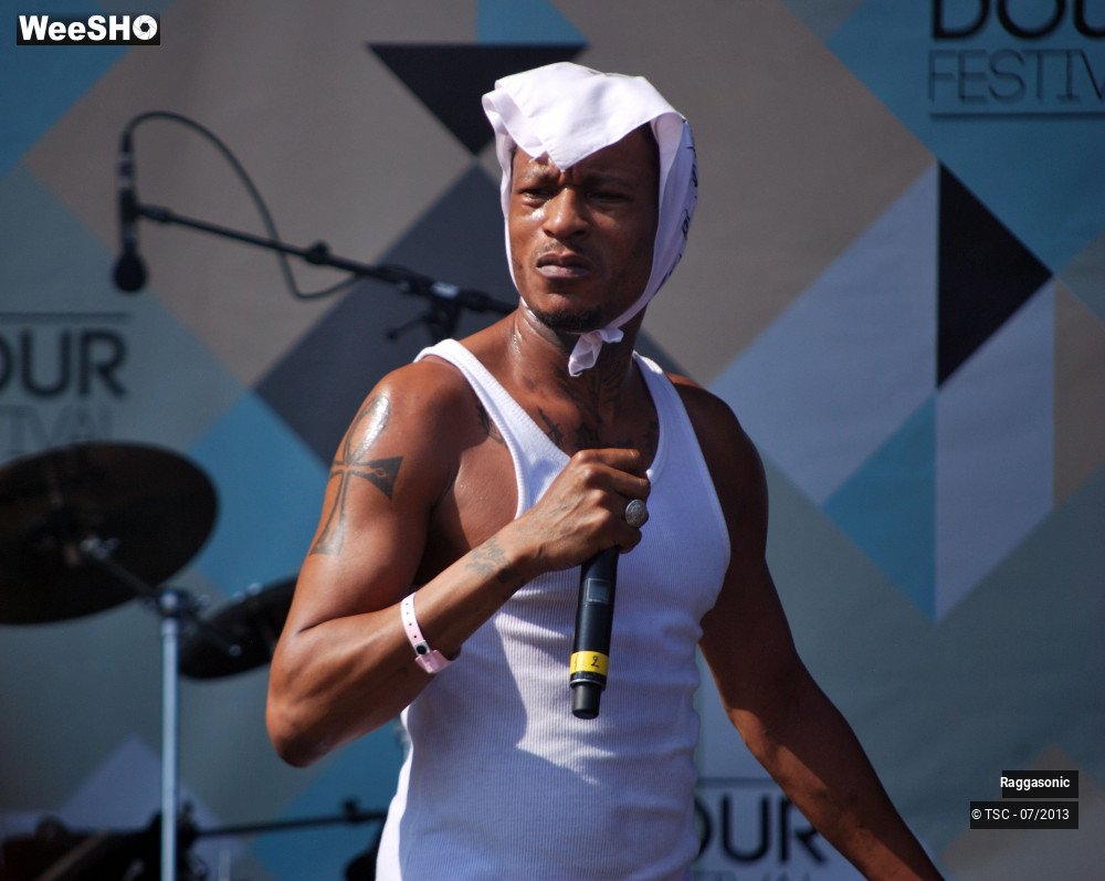 14/50 photos du spectacle Raggasonic