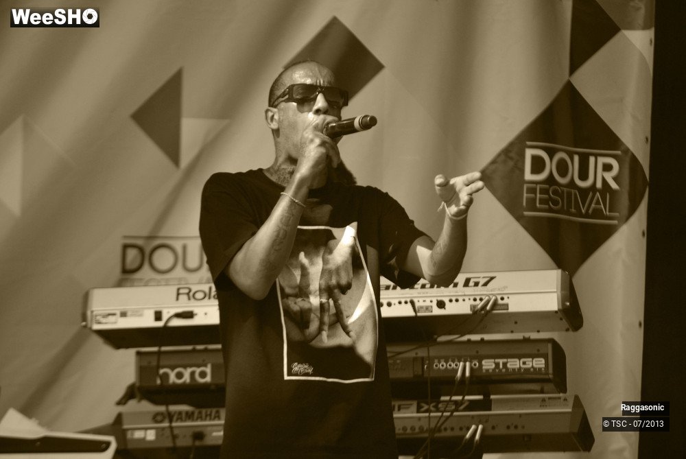 15/50 photos du spectacle Raggasonic