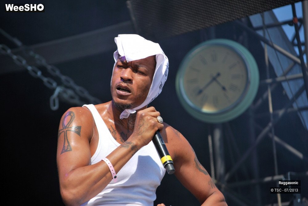 16/50 photos du spectacle Raggasonic