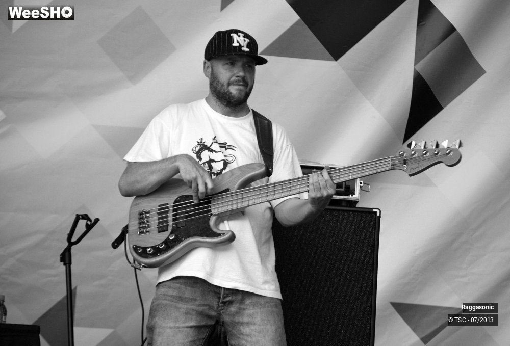 18/50 photos du spectacle Raggasonic