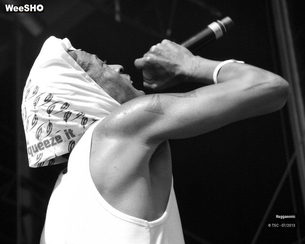 22/50 photos du spectacle Raggasonic