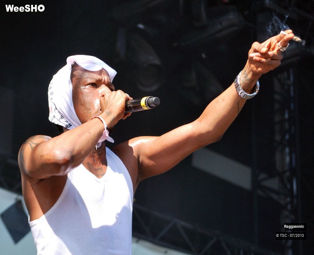 24/50 photos du spectacle Raggasonic