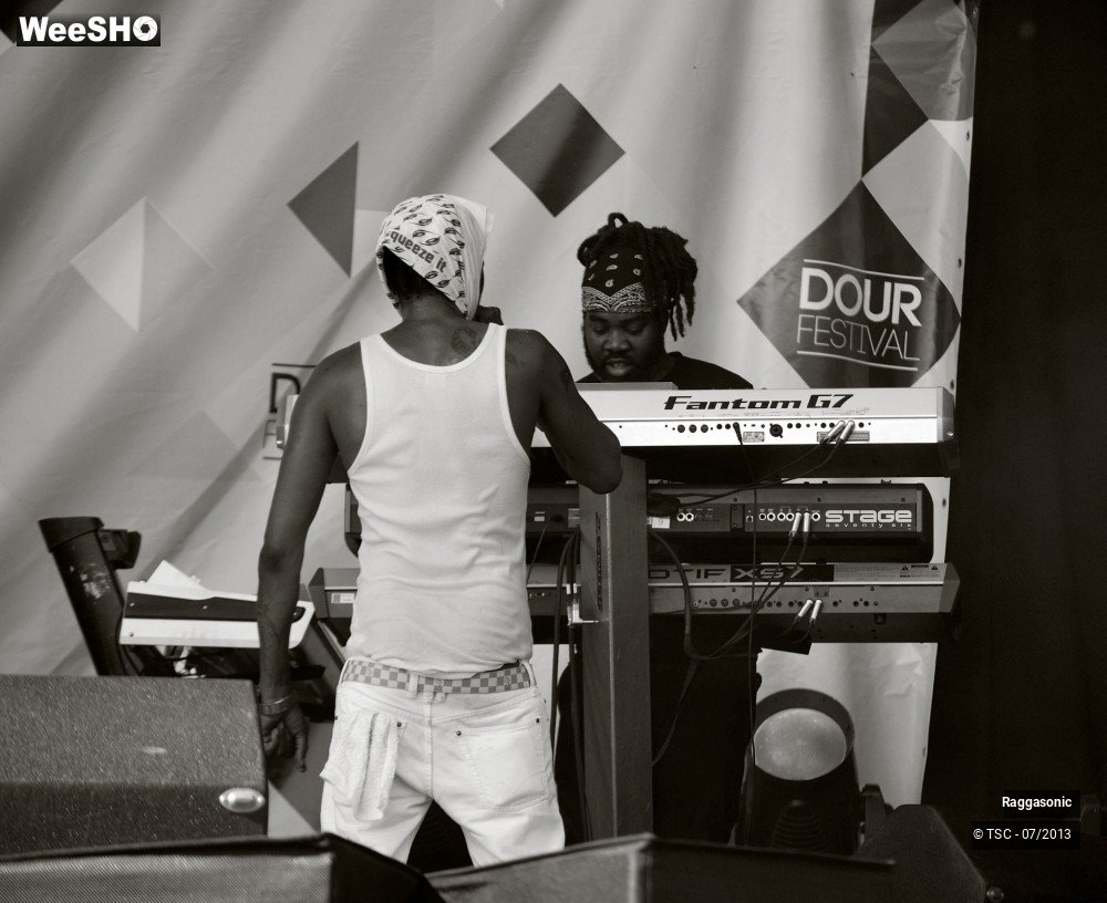 27/50 photos du spectacle Raggasonic