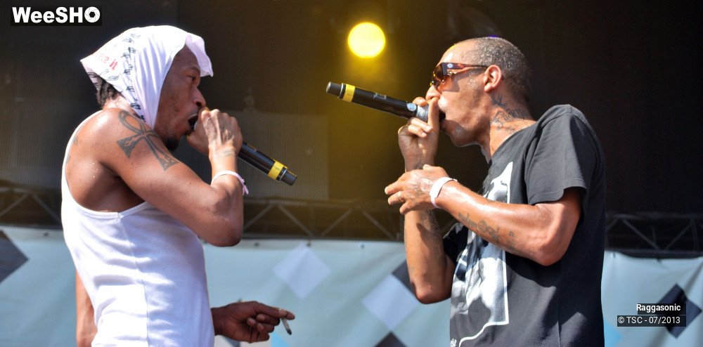 28/50 photos du spectacle Raggasonic