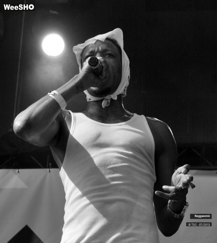 31/50 photos du spectacle Raggasonic