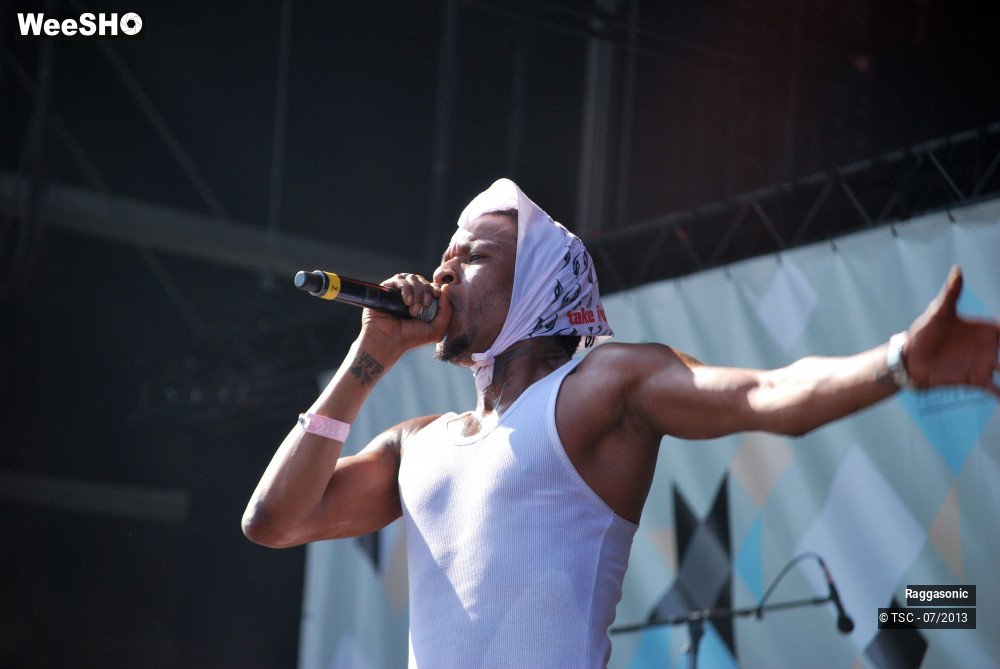32/50 photos du spectacle Raggasonic