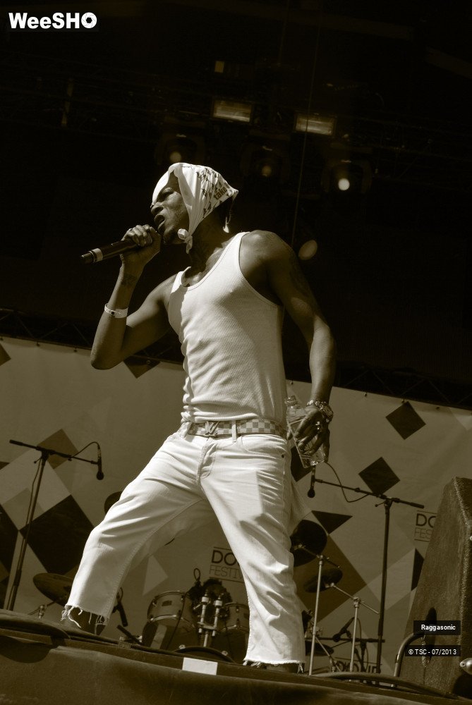 40/50 photos du spectacle Raggasonic