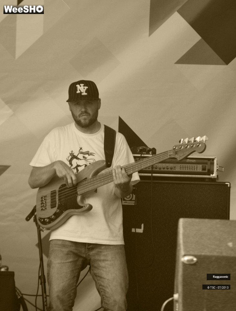 41/50 photos du spectacle Raggasonic