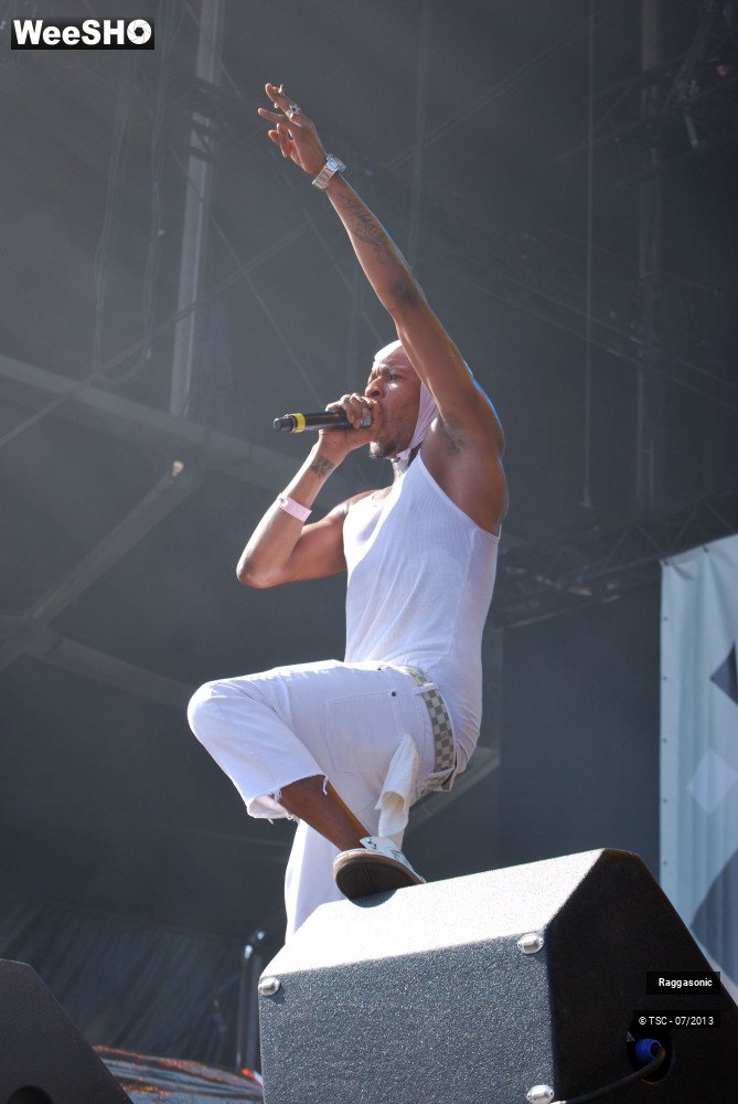 42/50 photos du spectacle Raggasonic
