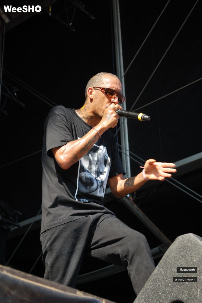 44/50 photos du spectacle Raggasonic