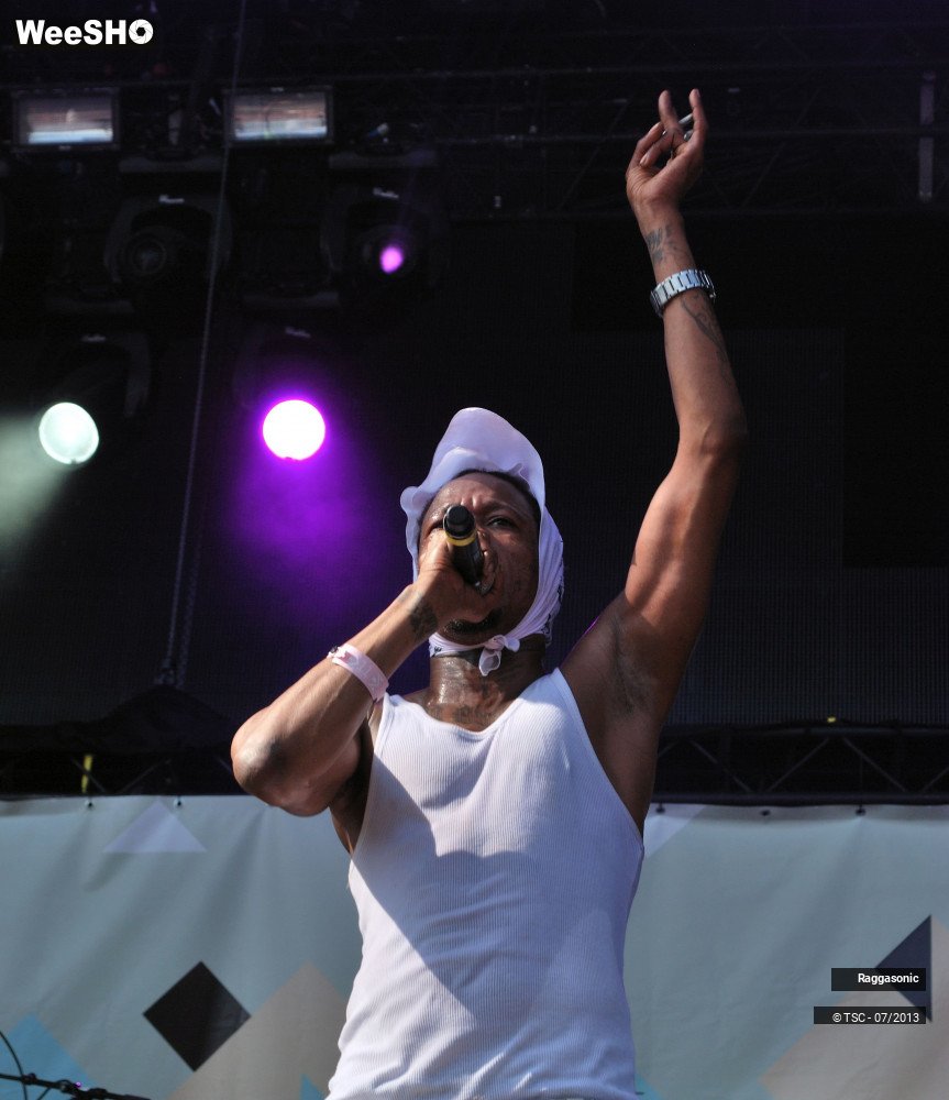 48/50 photos du spectacle Raggasonic