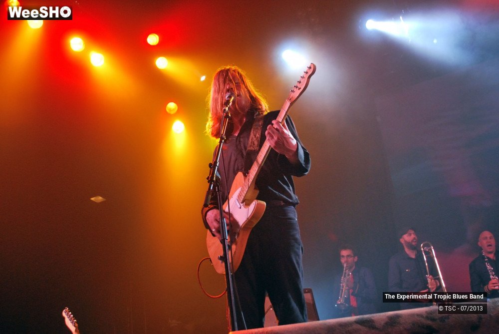 14/30 photos du spectacle The Experimental Tropic Blues band