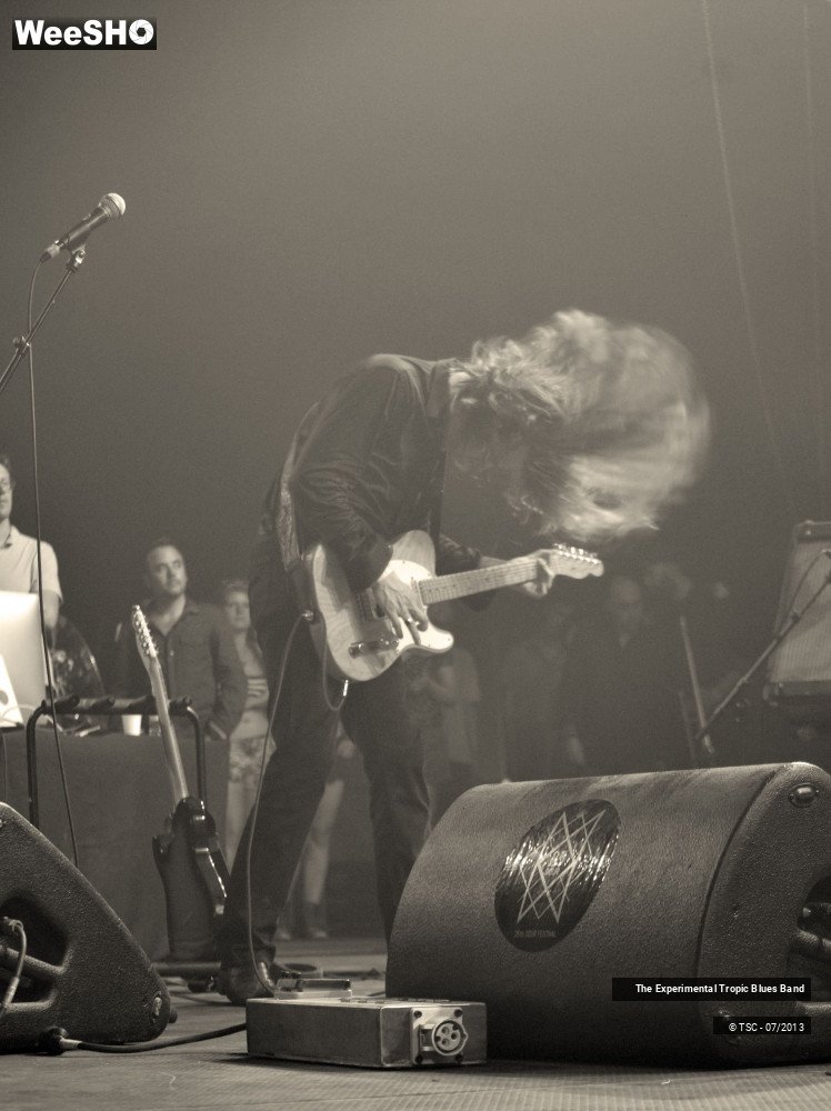 18/30 photos du spectacle The Experimental Tropic Blues band