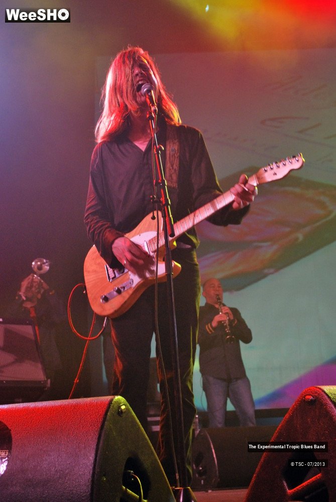 19/30 photos du spectacle The Experimental Tropic Blues band