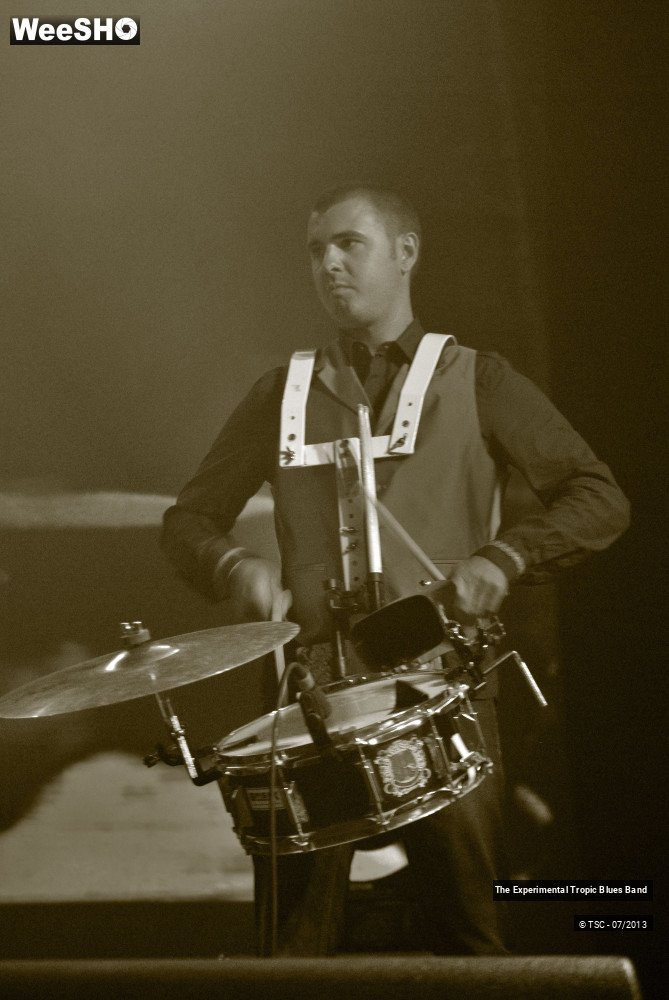 20/30 photos du spectacle The Experimental Tropic Blues band