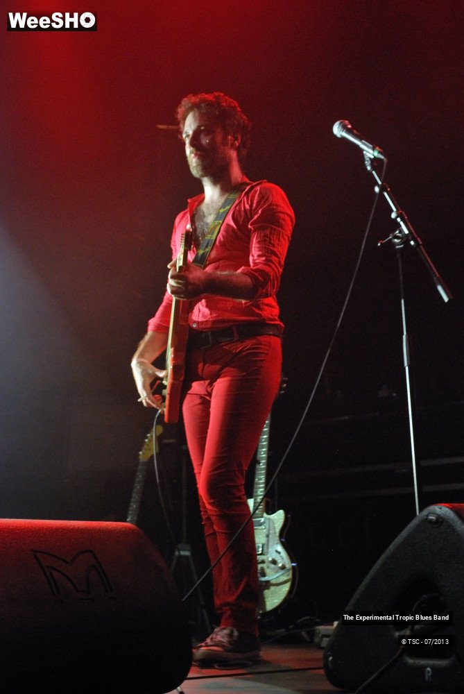 21/30 photos du spectacle The Experimental Tropic Blues band